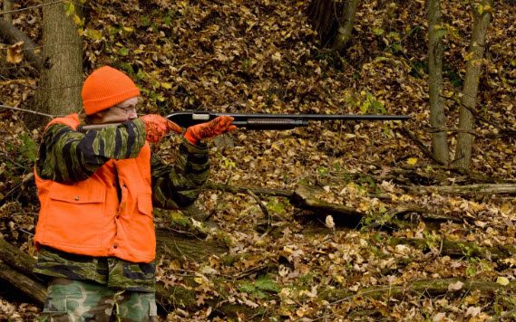 Hunter Training and Firearms Safety Courses