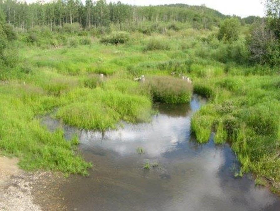 Kilini Natural Area