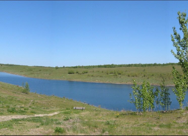White Wood Conservation Properties